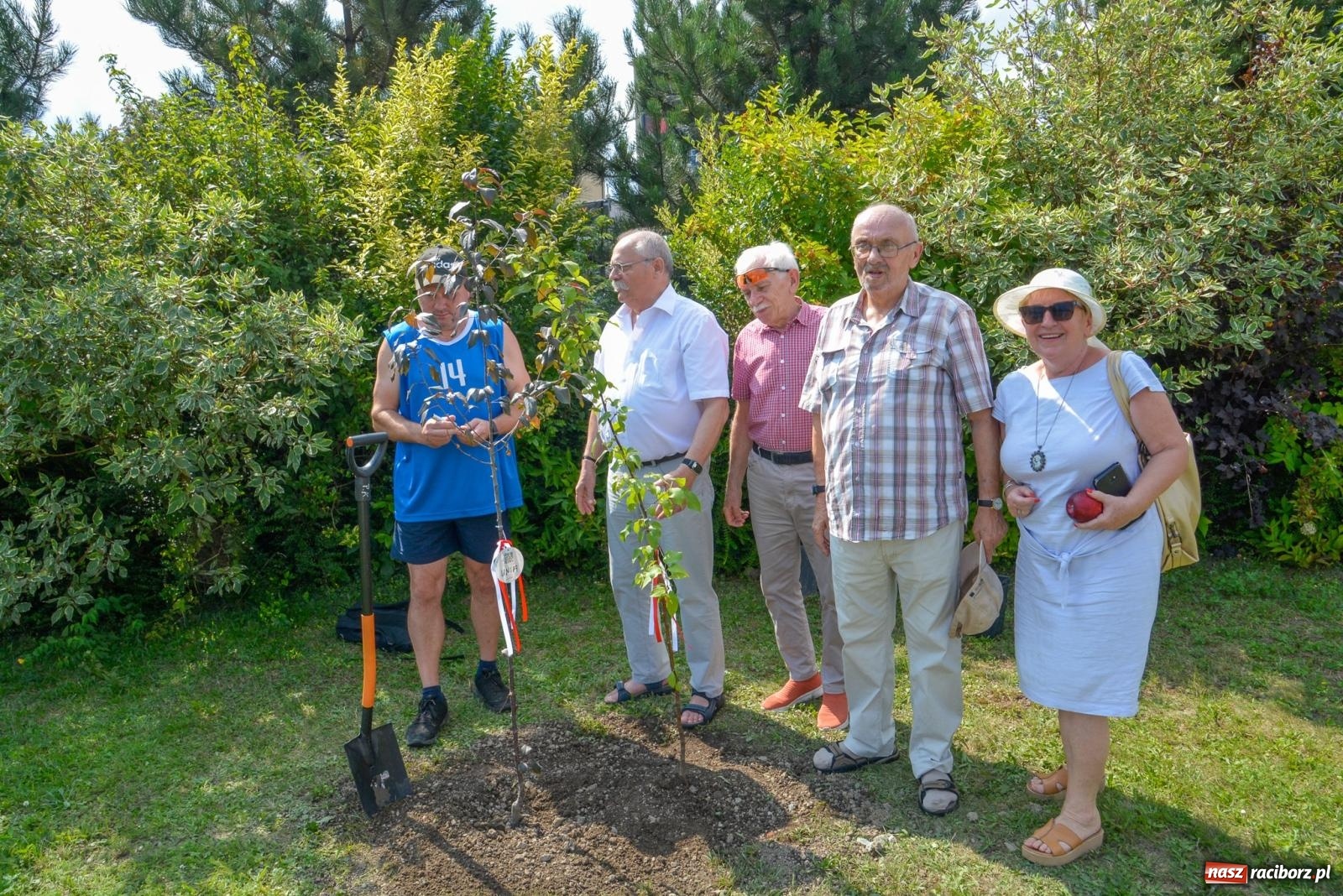 Zdjęcie w galerii na portalu naszraciborz.pl: Gramy i sadzimy. Festiwal Jabłonki Swawole w Raciborzu wiadomości z regionu