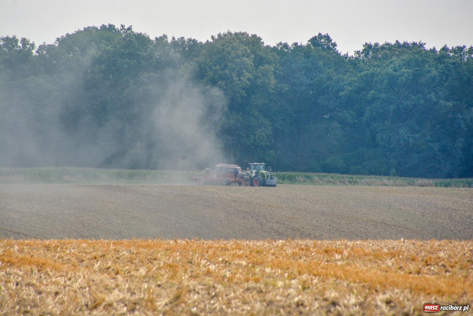 Zdjęcie w galerii na portalu naszraciborz.pl: Jednak Dawid zwyciężył Goliata. Sądowa batalia o grunty rolne w powiecie raciborskim wiadomości z regionu