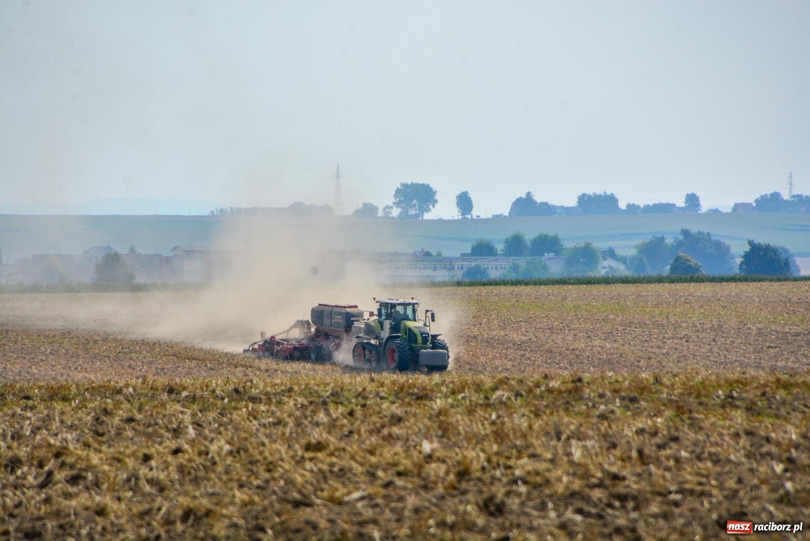 Zdjęcie w galerii na portalu naszraciborz.pl: Jednak Dawid zwyciężył Goliata. Sądowa batalia o grunty rolne w powiecie raciborskim wiadomości z regionu