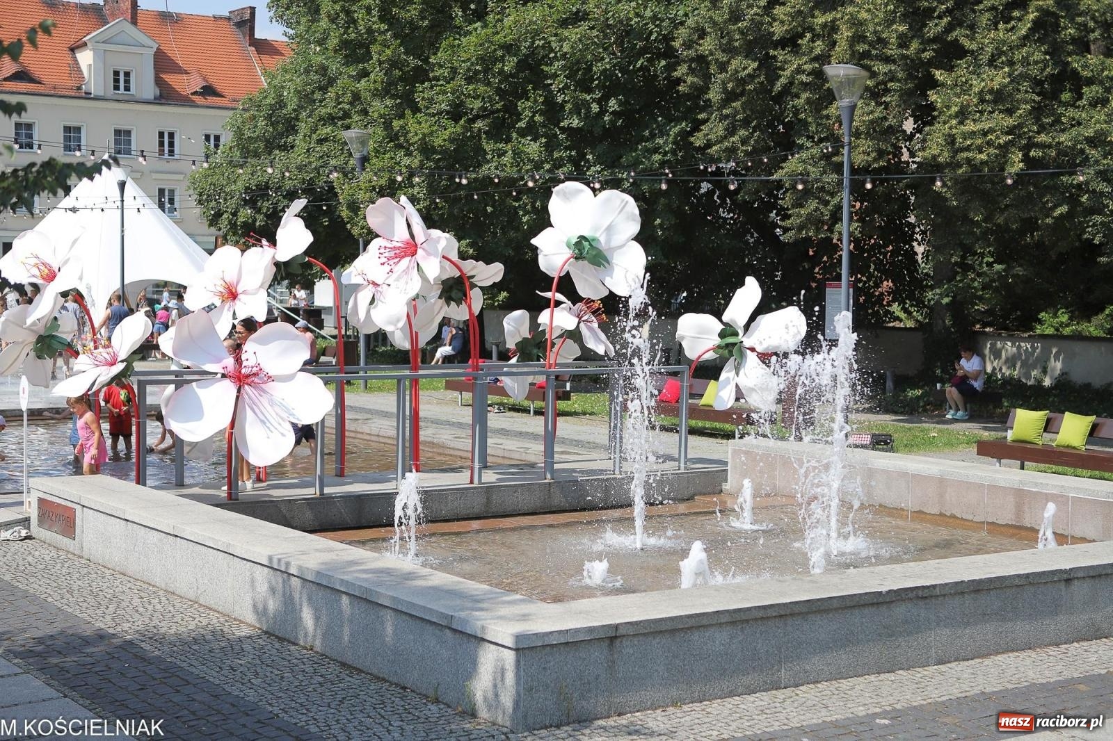 Zdjęcie w galerii na portalu naszraciborz.pl: Koncertowa sobota w Raciborzu - Jabłonki Swawole i Memoriał [FOTO] wiadomości z regionu