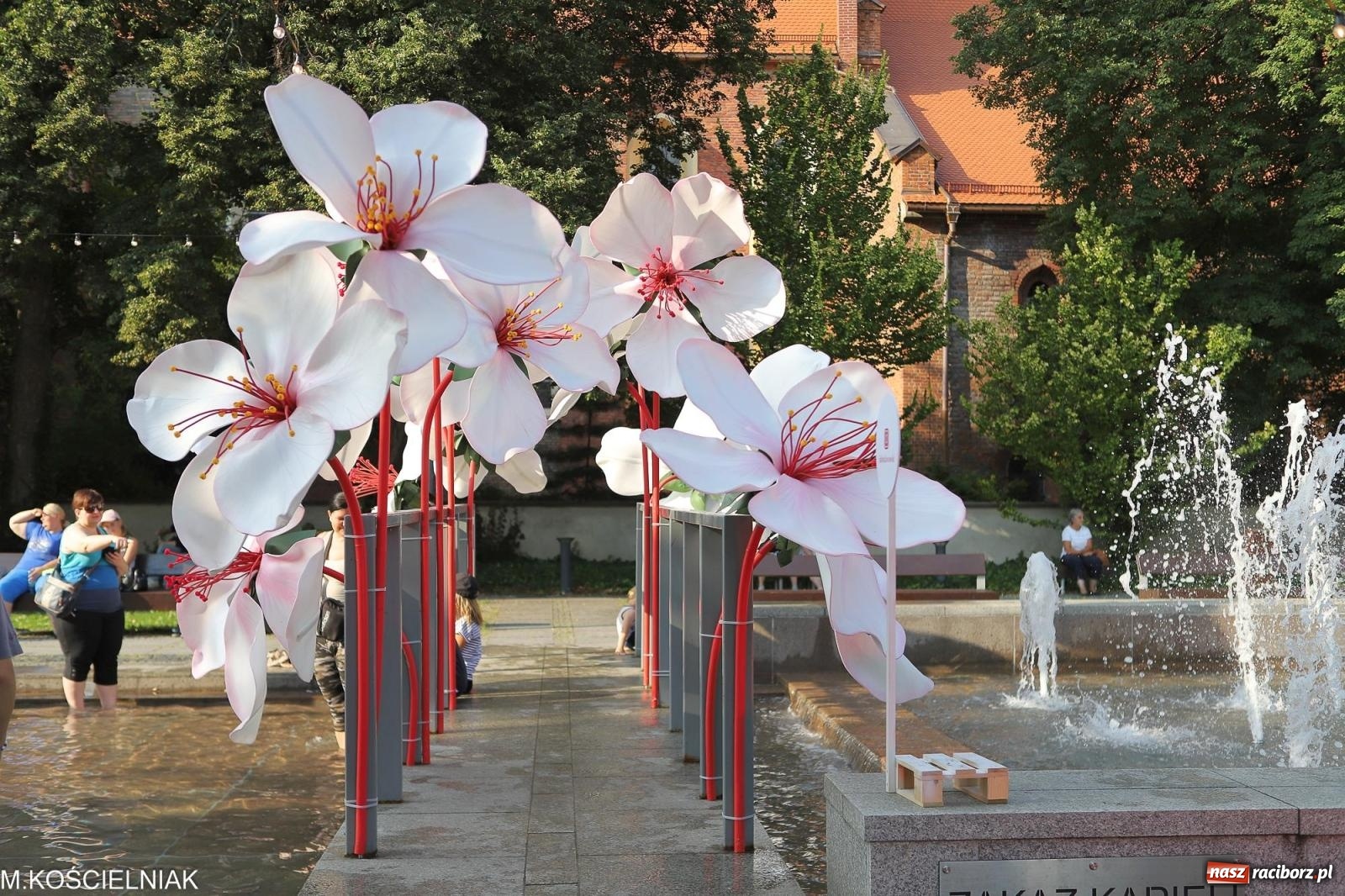 Zdjęcie w galerii na portalu naszraciborz.pl: Koncertowa sobota w Raciborzu - Jabłonki Swawole i Memoriał [FOTO] wiadomości z regionu