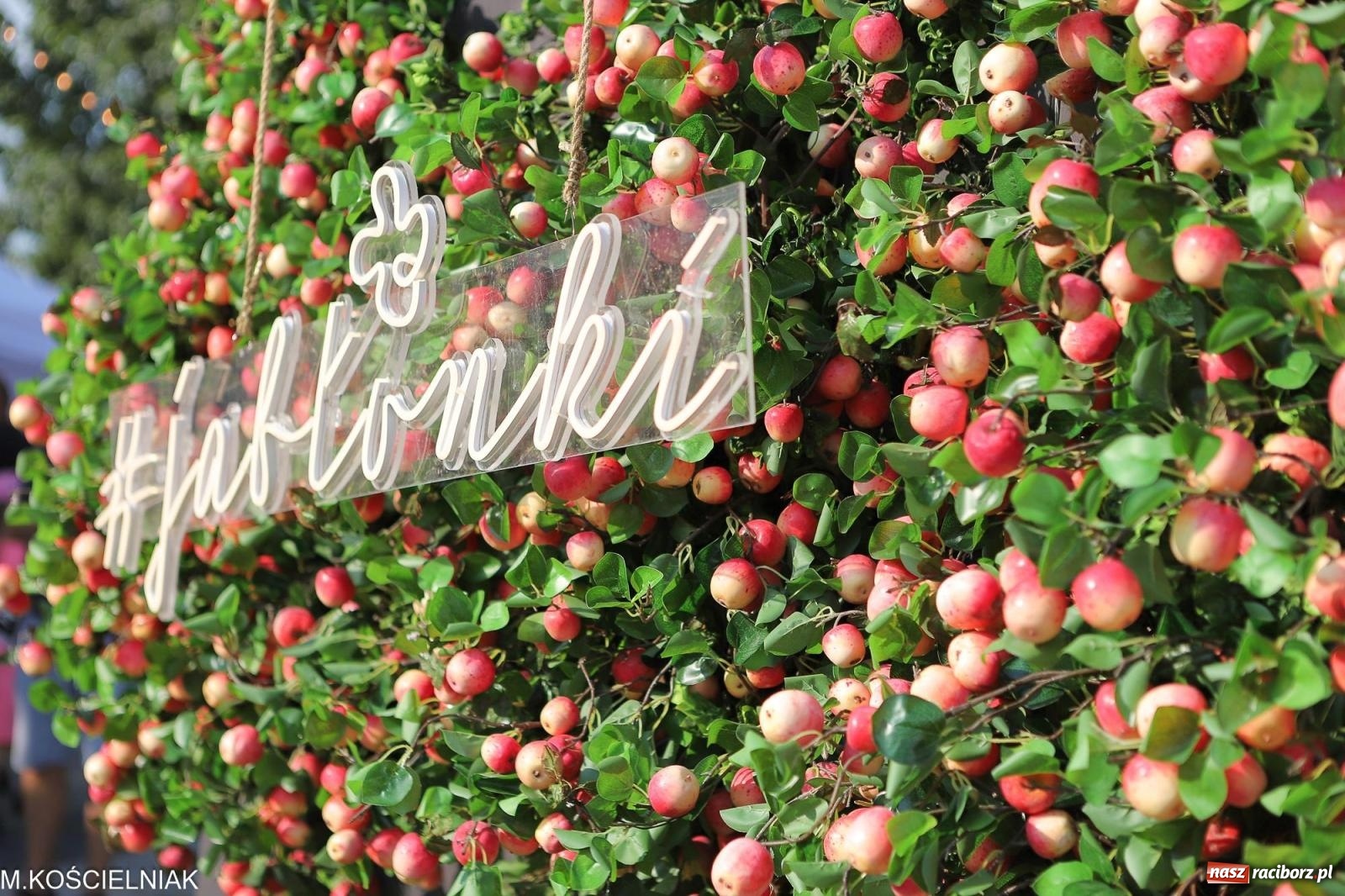 Zdjęcie w galerii na portalu naszraciborz.pl: Koncertowa sobota w Raciborzu - Jabłonki Swawole i Memoriał [FOTO] wiadomości z regionu