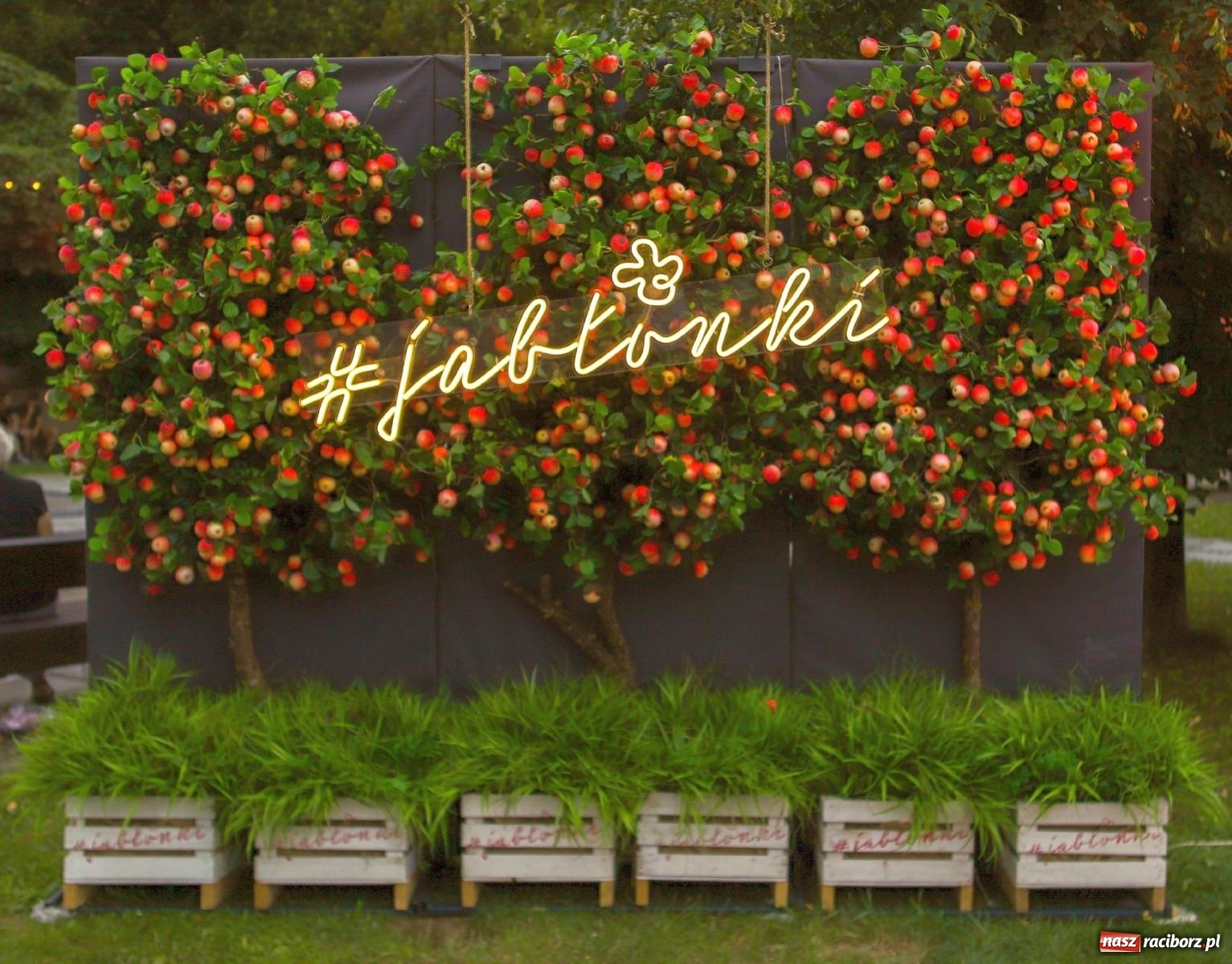 Zdjęcie w galerii na portalu naszraciborz.pl: Koncertowa sobota w Raciborzu - Jabłonki Swawole i Memoriał [FOTO] wiadomości z regionu