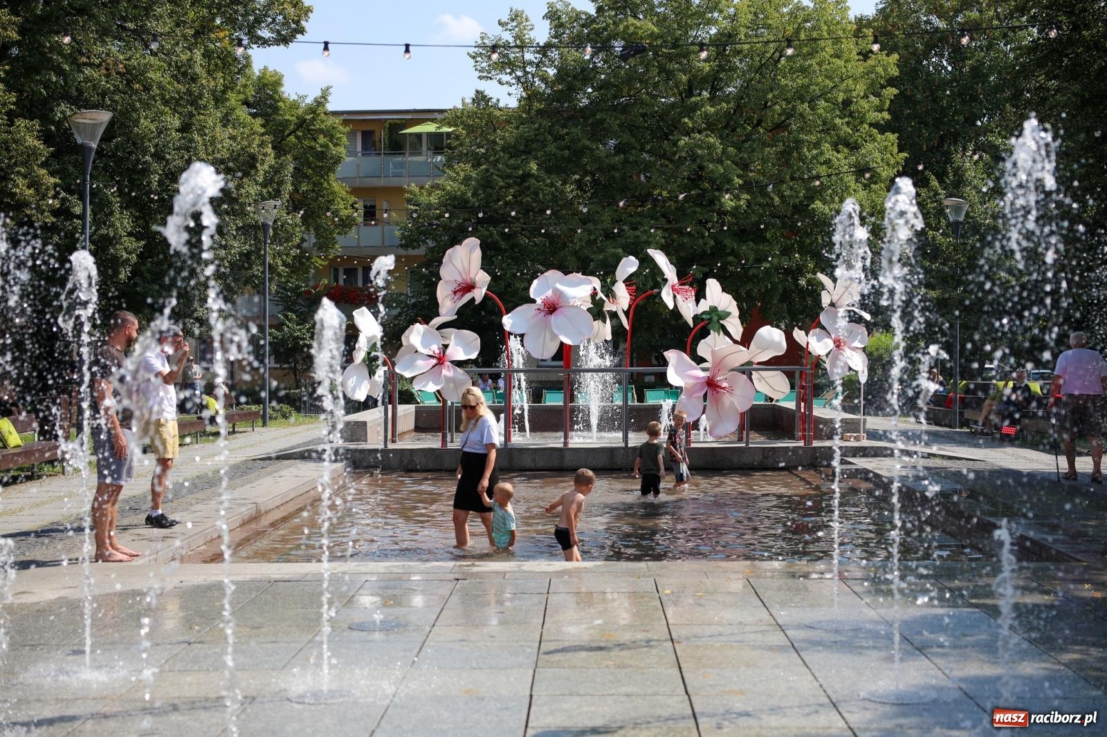 Zdjęcie w galerii na portalu naszraciborz.pl: Fajne miasto, fajna impreza, fajni ludzie. Raciborzanie swawolą [WIDEO] wiadomości z regionu