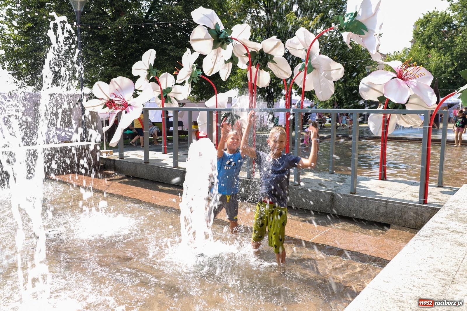 Zdjęcie w galerii na portalu naszraciborz.pl: Fajne miasto, fajna impreza, fajni ludzie. Raciborzanie swawolą [WIDEO] wiadomości z regionu