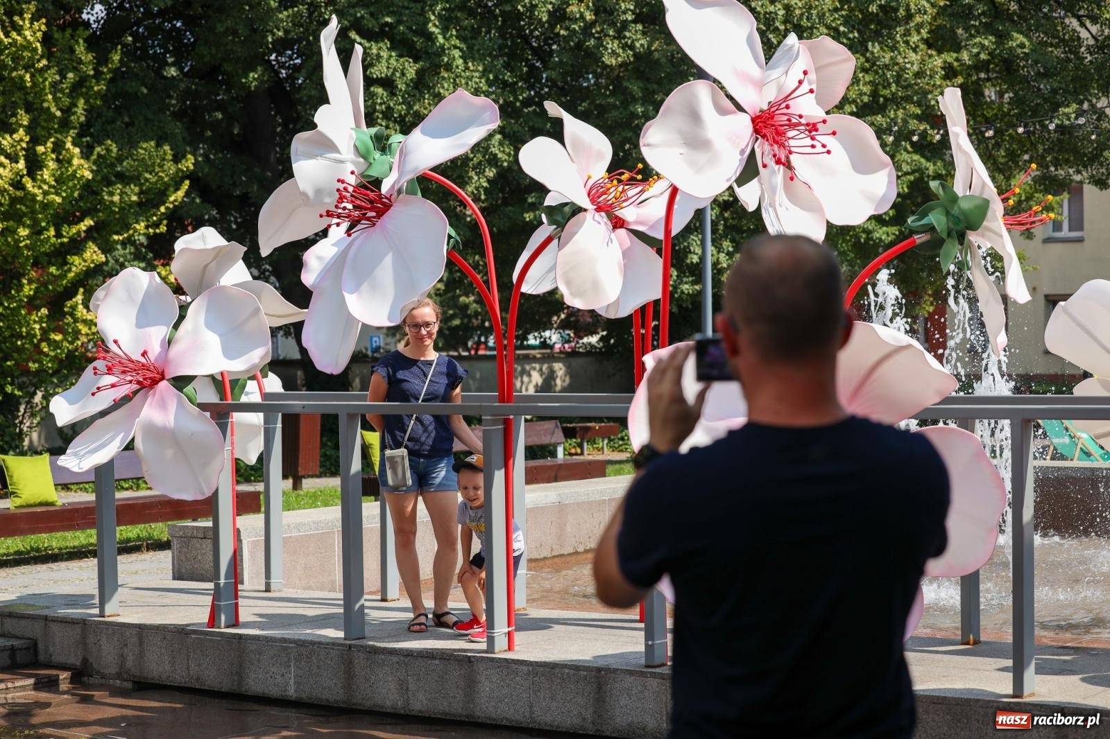 Zdjęcie w galerii na portalu naszraciborz.pl: Fajne miasto, fajna impreza, fajni ludzie. Raciborzanie swawolą [WIDEO] wiadomości z regionu