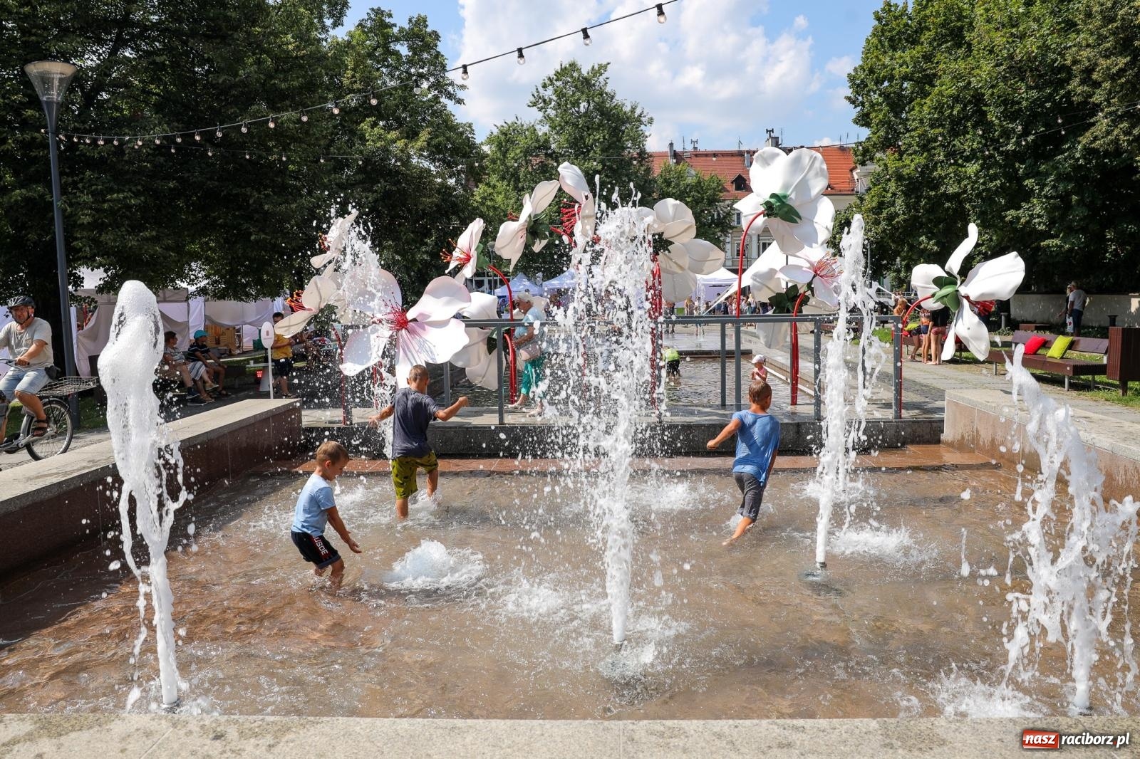 Zdjęcie w galerii na portalu naszraciborz.pl: Fajne miasto, fajna impreza, fajni ludzie. Raciborzanie swawolą [WIDEO] wiadomości z regionu