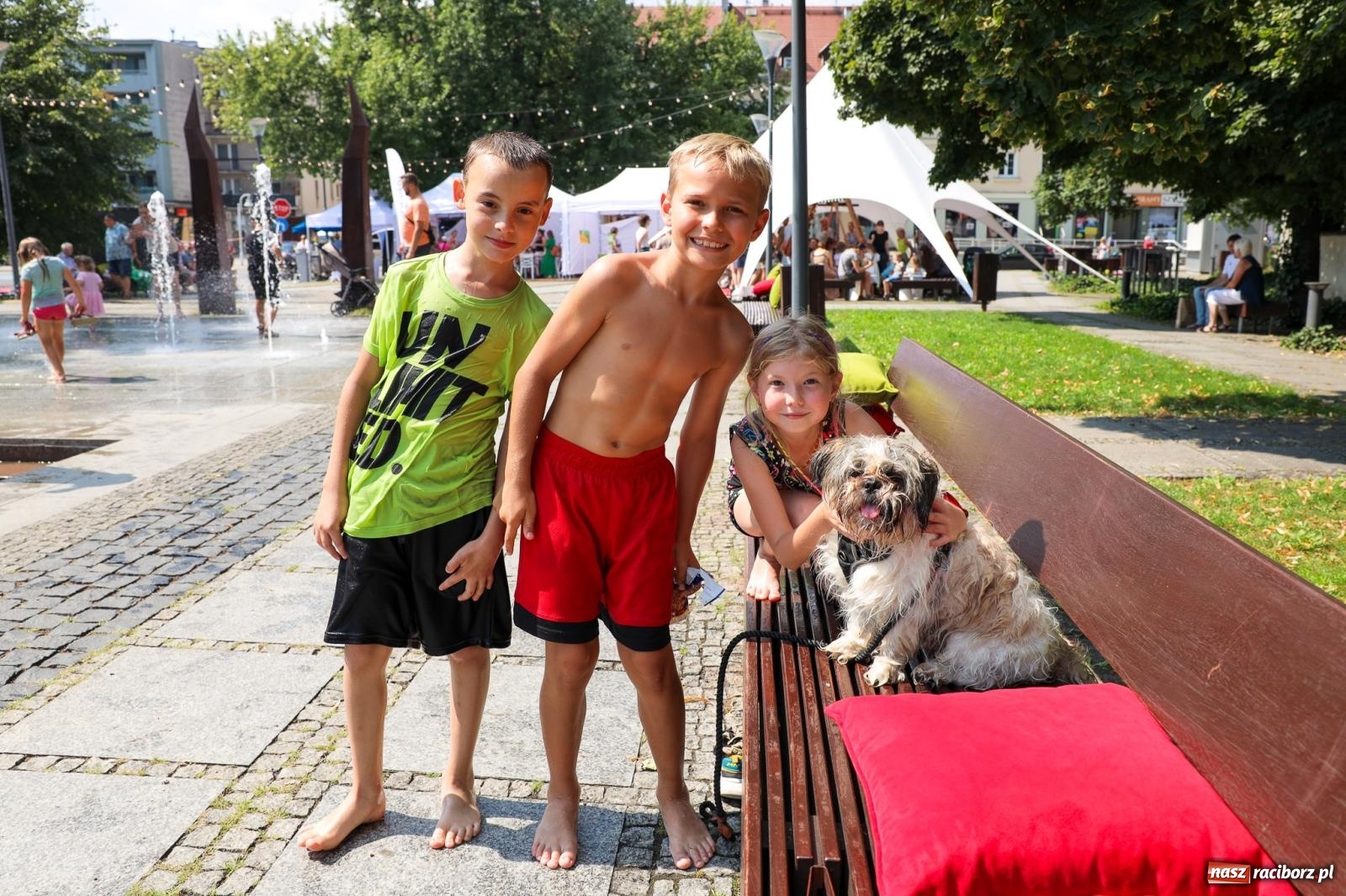Zdjęcie w galerii na portalu naszraciborz.pl: Fajne miasto, fajna impreza, fajni ludzie. Raciborzanie swawolą [WIDEO] wiadomości z regionu