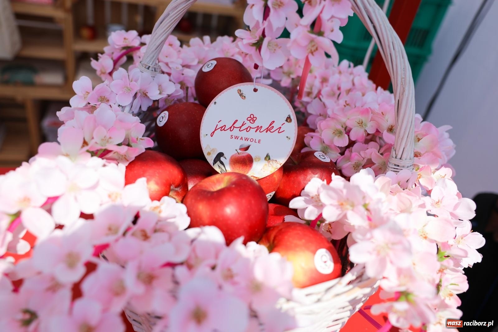 Zdjęcie w galerii na portalu naszraciborz.pl: Fajne miasto, fajna impreza, fajni ludzie. Raciborzanie swawolą [WIDEO] wiadomości z regionu