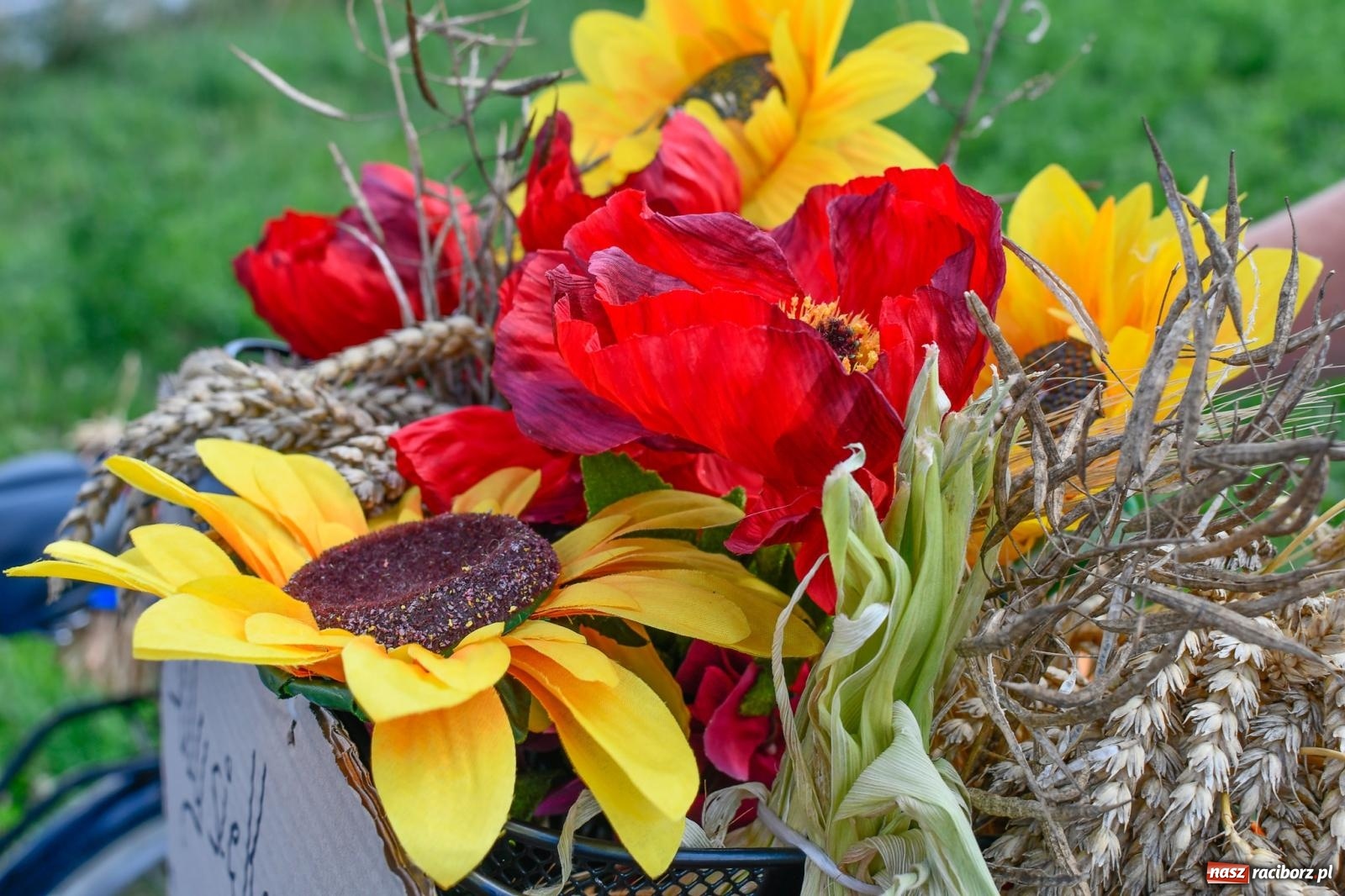 Zdjęcie w galerii na portalu naszraciborz.pl: Maków otworzył sezon dożynkowy w gminie Pietrowice Wielkie [FOTO i WIDEO] wiadomości z regionu