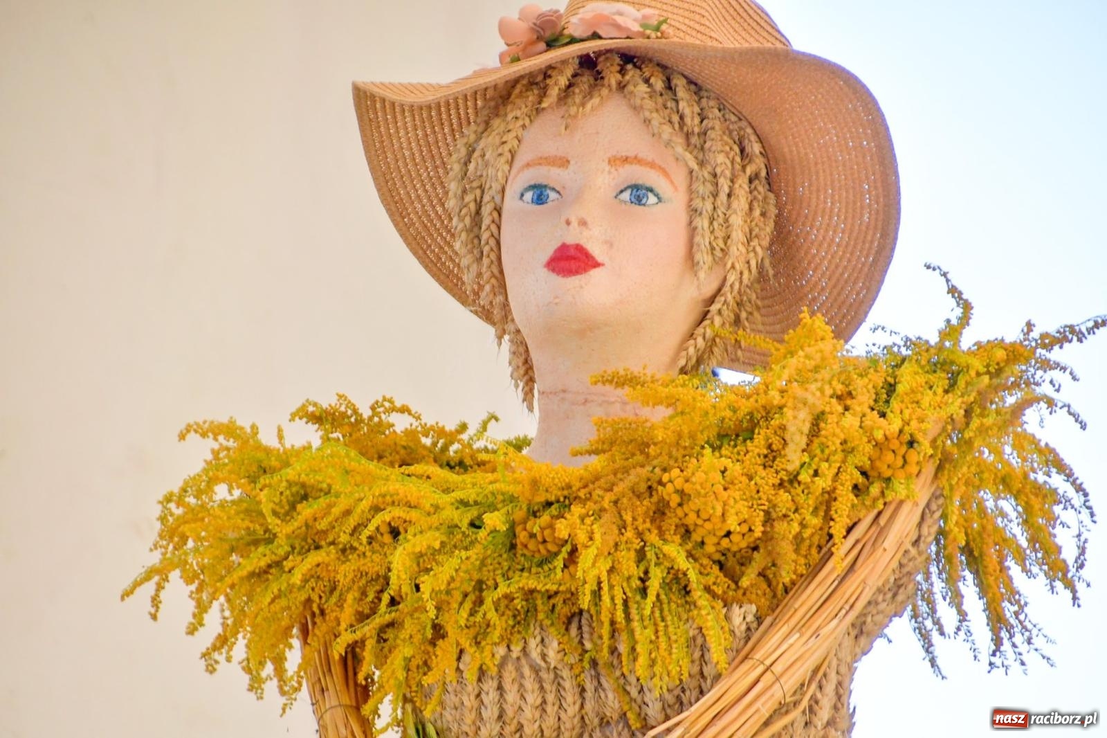 Zdjęcie w galerii na portalu naszraciborz.pl: Dożynki na różowo. W Roszkowie Barbie zdominowały korowód [FOTO i WIDEO] wiadomości z regionu