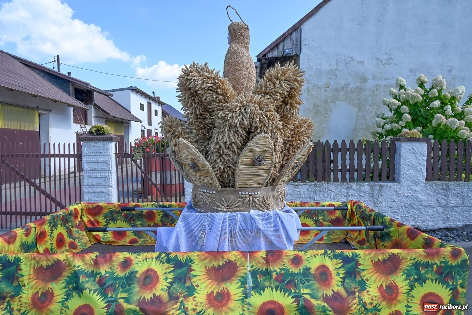 Zdjęcie w galerii na portalu naszraciborz.pl: Dożynki na różowo. W Roszkowie Barbie zdominowały korowód [FOTO i WIDEO] wiadomości z regionu