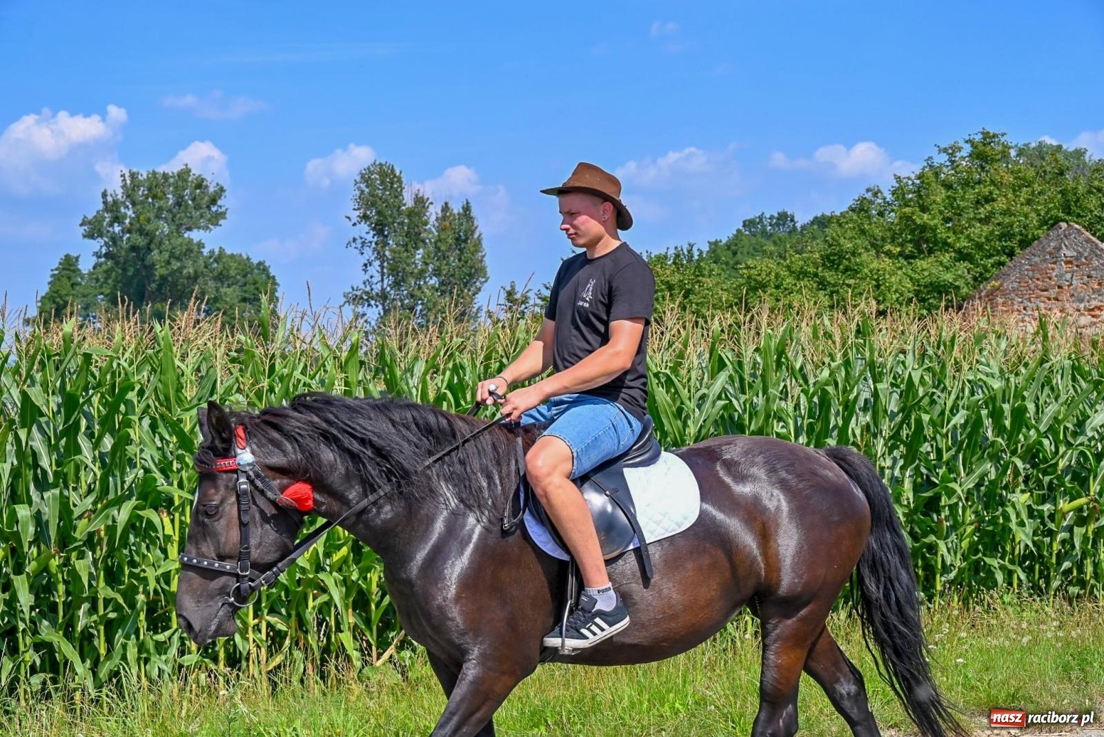 Zdjęcie w galerii na portalu naszraciborz.pl: Radosne i kolorowe święto plonów w Bolesławiu [FOTO i WIDEO] wiadomości z regionu