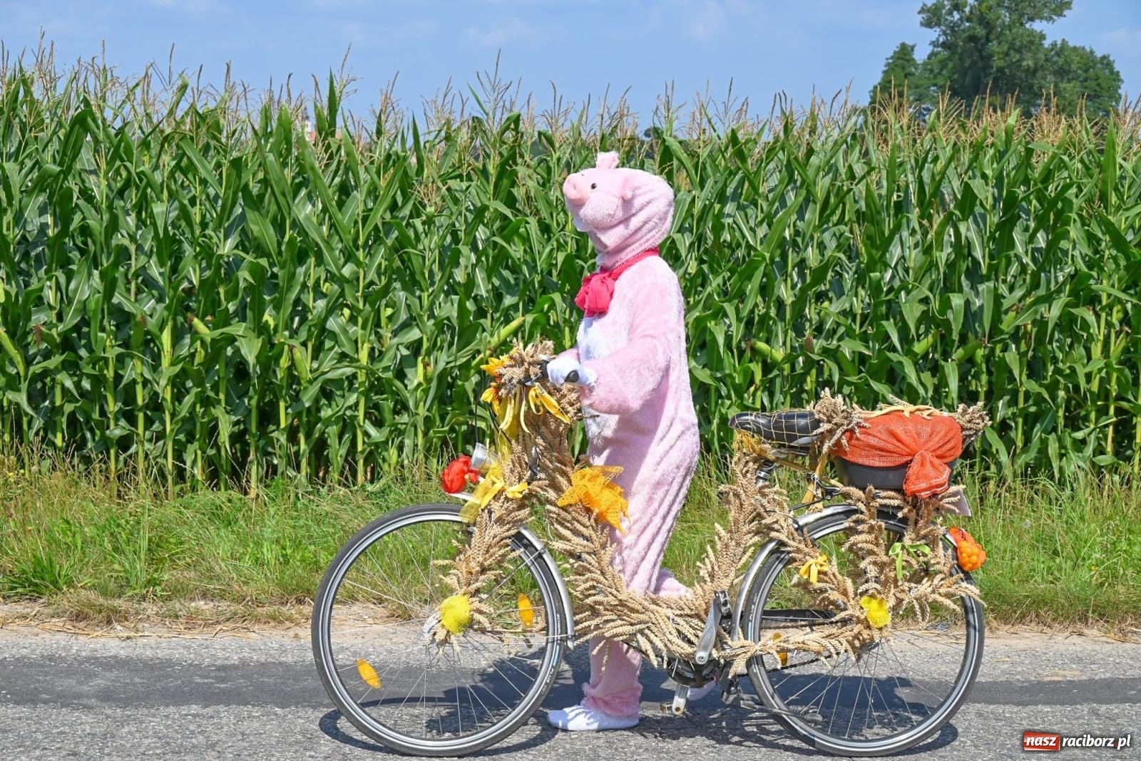 Zdjęcie w galerii na portalu naszraciborz.pl: Radosne i kolorowe święto plonów w Bolesławiu [FOTO i WIDEO] wiadomości z regionu