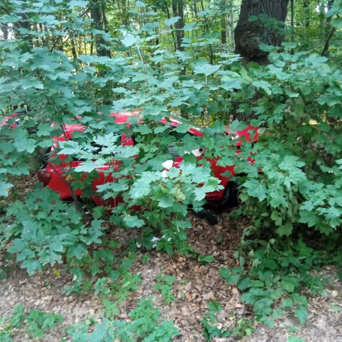 Zdjęcie w galerii na portalu naszraciborz.pl: Toyota uderzyła w drzewo w Szymocicach [FOTO] wiadomości z regionu