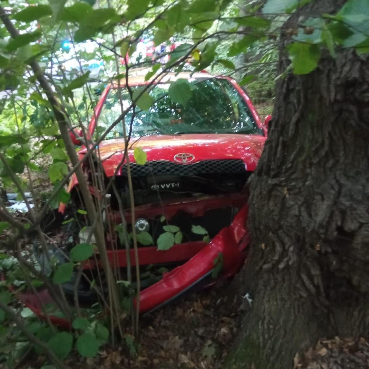 Zdjęcie w galerii na portalu naszraciborz.pl: Toyota uderzyła w drzewo w Szymocicach [FOTO] wiadomości z regionu