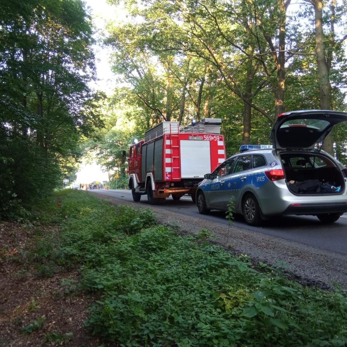 Zdjęcie w galerii na portalu naszraciborz.pl: Toyota uderzyła w drzewo w Szymocicach [FOTO] wiadomości z regionu