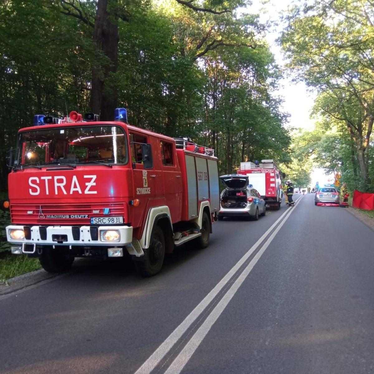 Zdjęcie w galerii na portalu naszraciborz.pl: Toyota uderzyła w drzewo w Szymocicach [FOTO] wiadomości z regionu