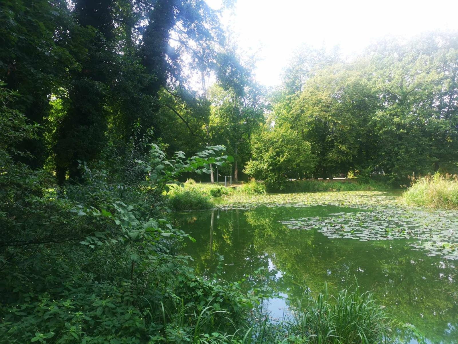 Zdjęcie w galerii na portalu naszraciborz.pl: MDK zorganizował w Rudach plener malarski wiadomości z regionu