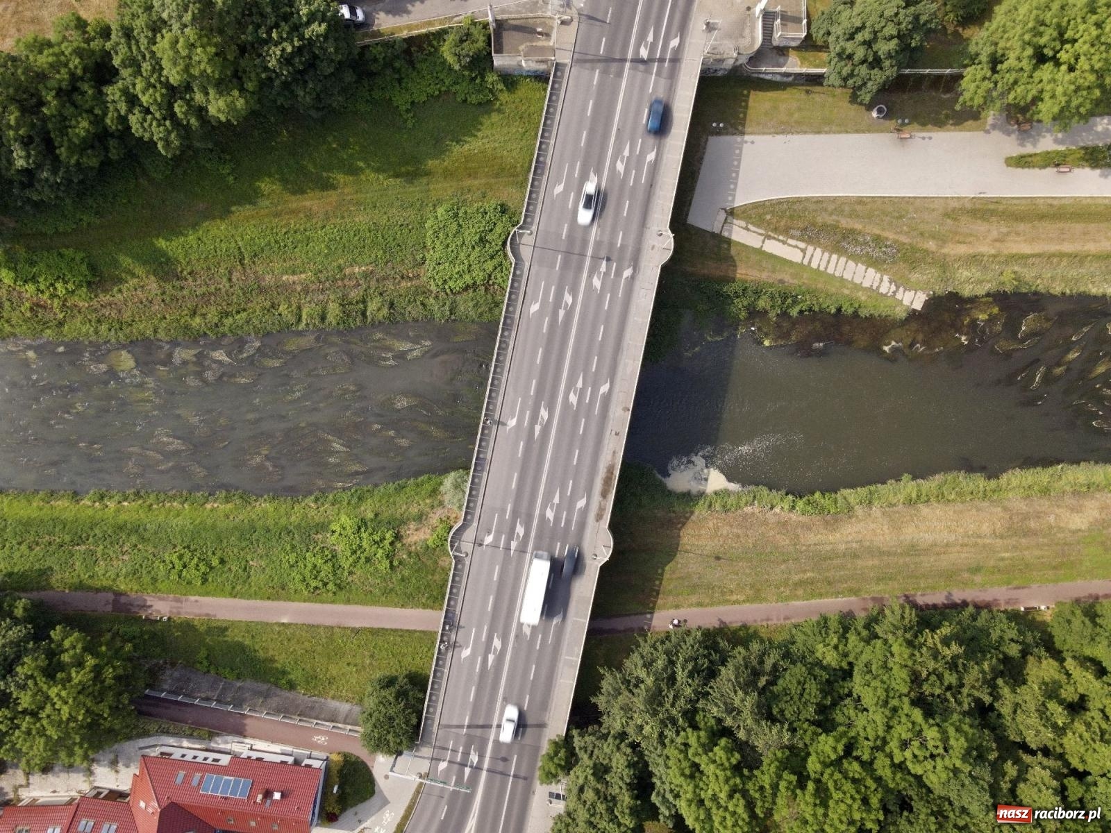 Zdjęcie w galerii na portalu naszraciborz.pl: Polskie rzeki wysychają. Będą coraz bardziej narażone na zmiany klimatu i katastrofy ekologiczne wiadomości z regionu