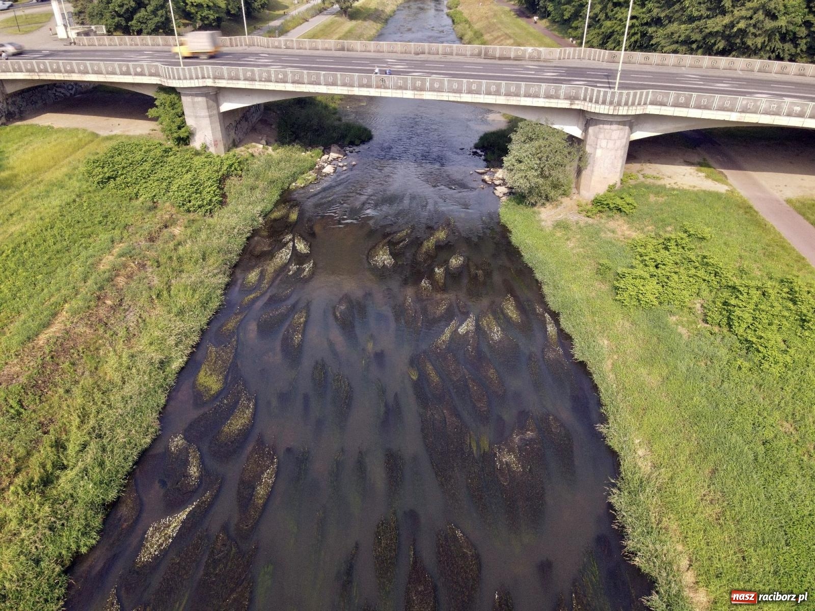 Zdjęcie w galerii na portalu naszraciborz.pl: Polskie rzeki wysychają. Będą coraz bardziej narażone na zmiany klimatu i katastrofy ekologiczne wiadomości z regionu