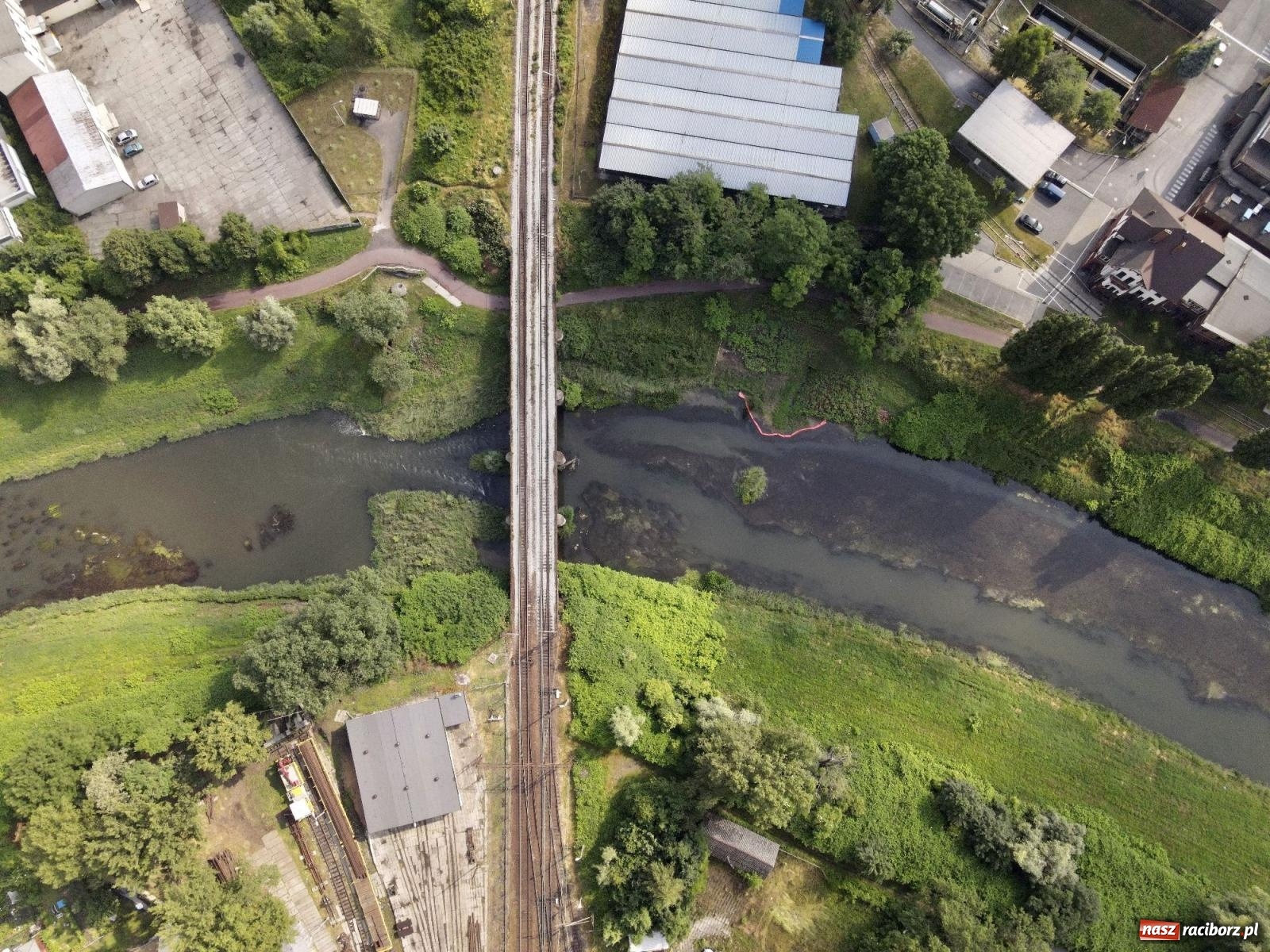 Zdjęcie w galerii na portalu naszraciborz.pl: Polskie rzeki wysychają. Będą coraz bardziej narażone na zmiany klimatu i katastrofy ekologiczne wiadomości z regionu