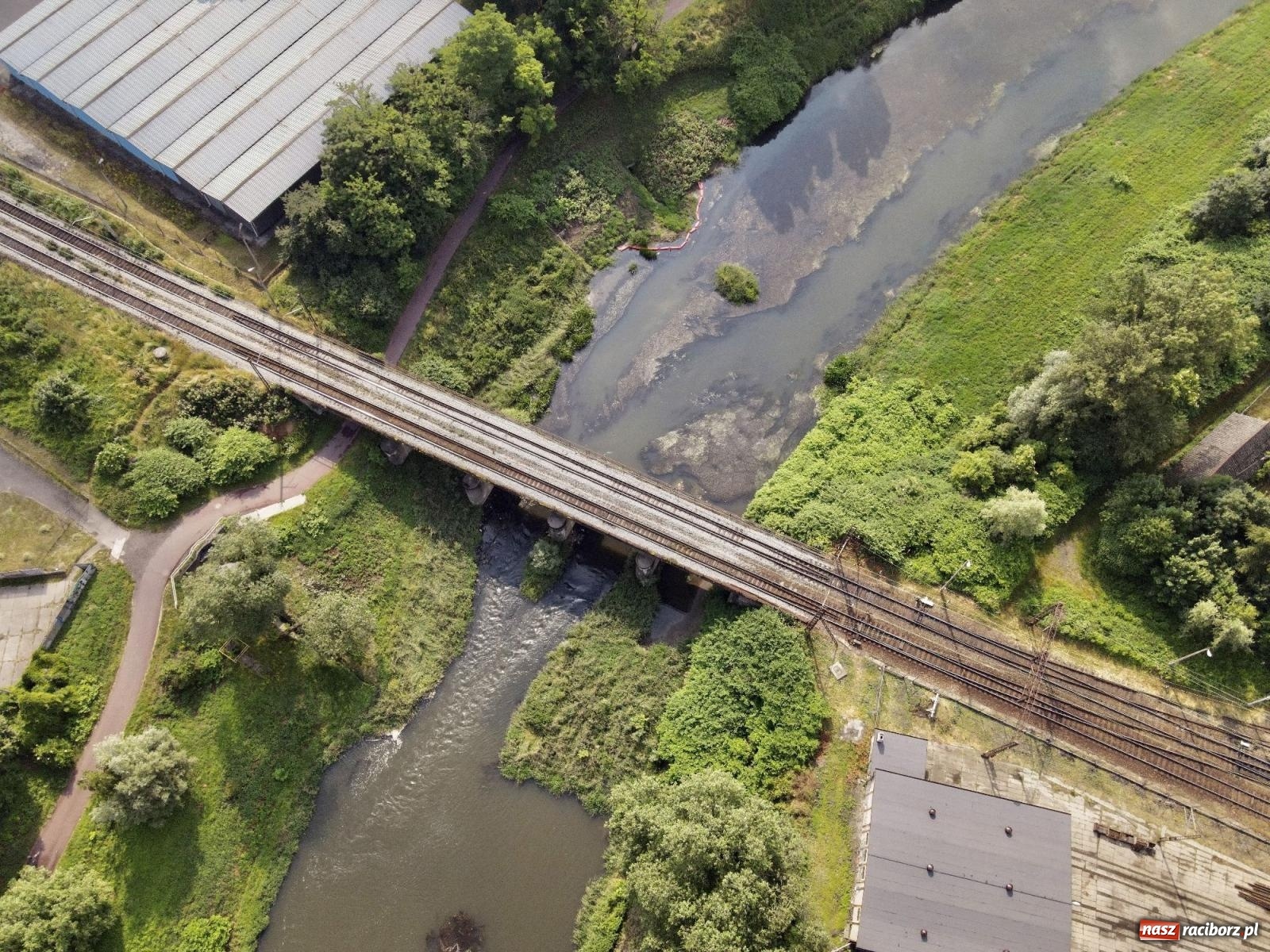 Zdjęcie w galerii na portalu naszraciborz.pl: Polskie rzeki wysychają. Będą coraz bardziej narażone na zmiany klimatu i katastrofy ekologiczne wiadomości z regionu