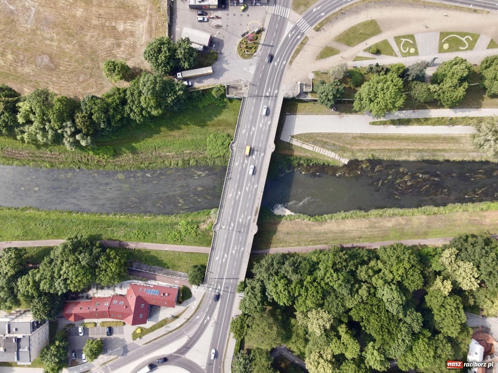 Zdjęcie w galerii na portalu naszraciborz.pl: Polskie rzeki wysychają. Będą coraz bardziej narażone na zmiany klimatu i katastrofy ekologiczne wiadomości z regionu