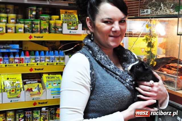 Zdjęcie w galerii na portalu naszraciborz.pl: Porzucane zwierzęta to plaga wiadomości z regionu