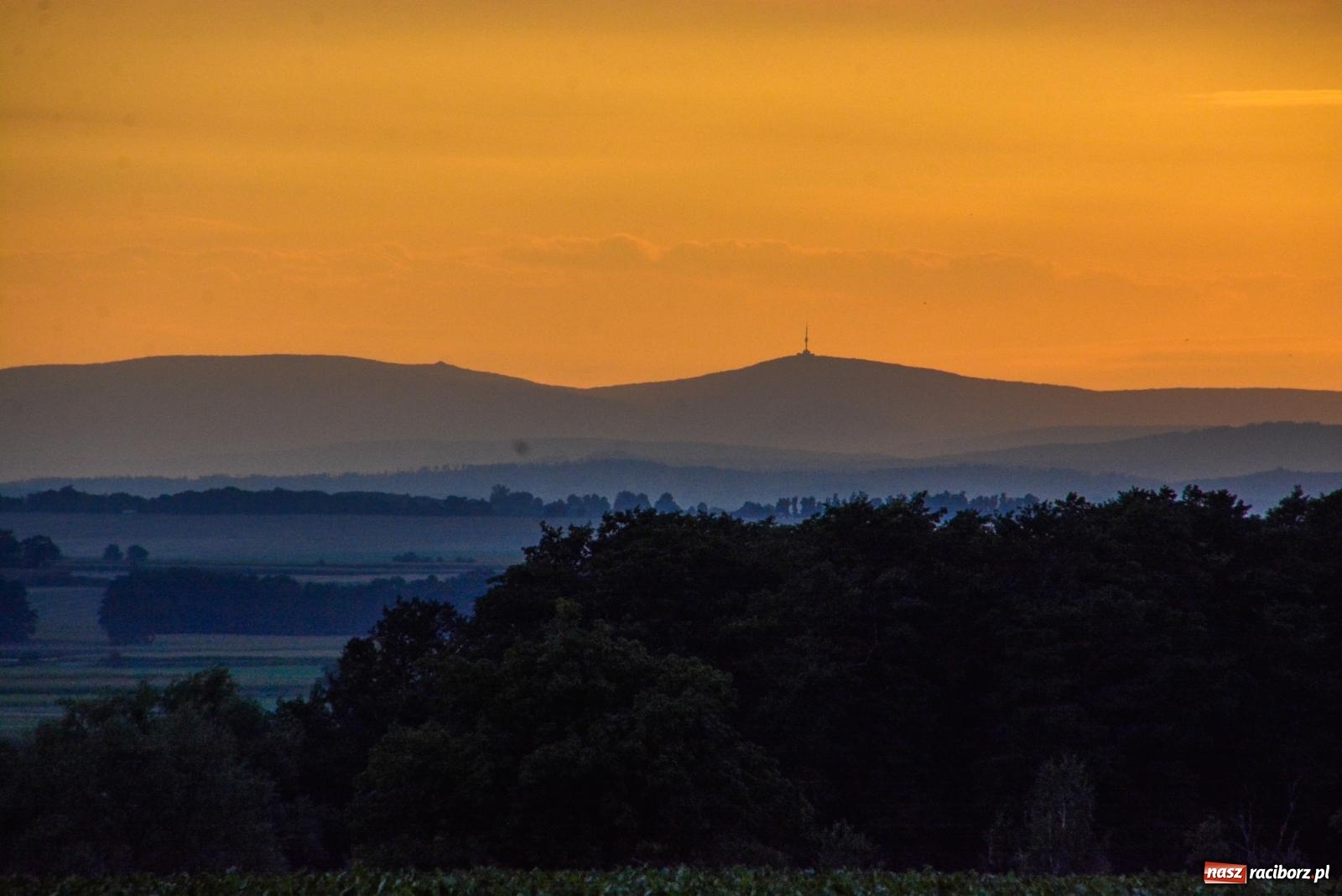 Zdjęcie w galerii na portalu naszraciborz.pl: Życiowe umilanki. Fortissimo w wojnowickim pałacu [FOTO i WIDEO] wiadomości z regionu