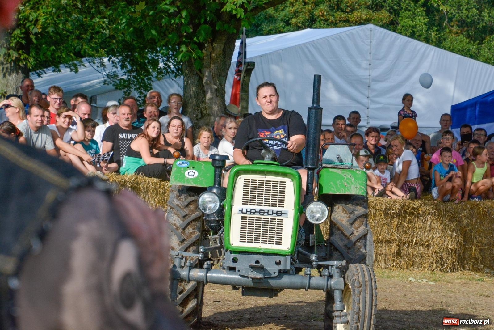 Zdjęcie w galerii na portalu naszraciborz.pl: Ciapek Racing 3. W Krowiarkach jak w Mad Maxie [FOTO i WIDEO] wiadomości z regionu