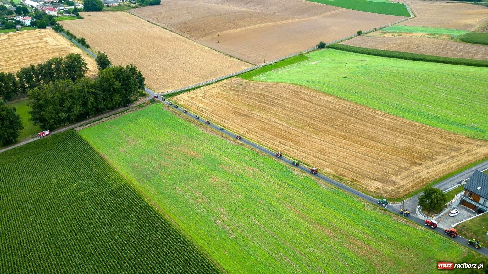 Zdjęcie w galerii na portalu naszraciborz.pl: Krowiarki Ciapek Racing 3. Parada traktorów wiadomości z regionu