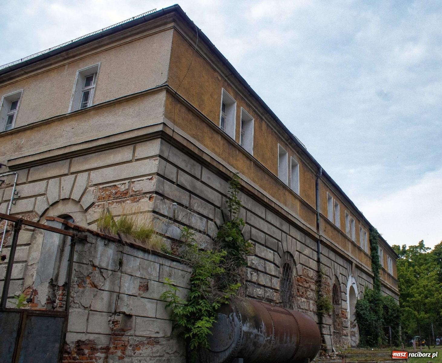 Zdjęcie w galerii na portalu naszraciborz.pl: Krowiarki Ciapek Racing 3. Parada traktorów wiadomości z regionu