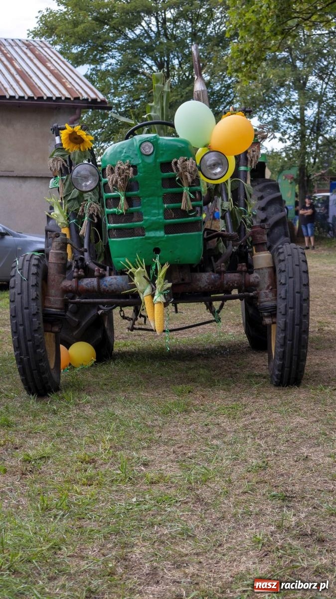 Zdjęcie w galerii na portalu naszraciborz.pl: Krowiarki Ciapek Racing 3. Parada traktorów wiadomości z regionu