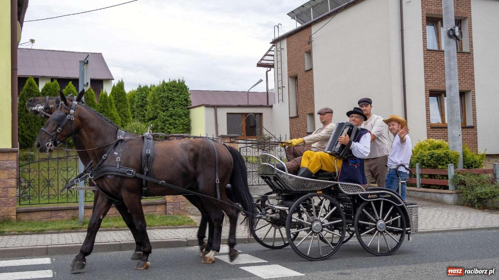 Zdjęcie w galerii na portalu naszraciborz.pl: Krowiarki Ciapek Racing 3. Parada traktorów wiadomości z regionu