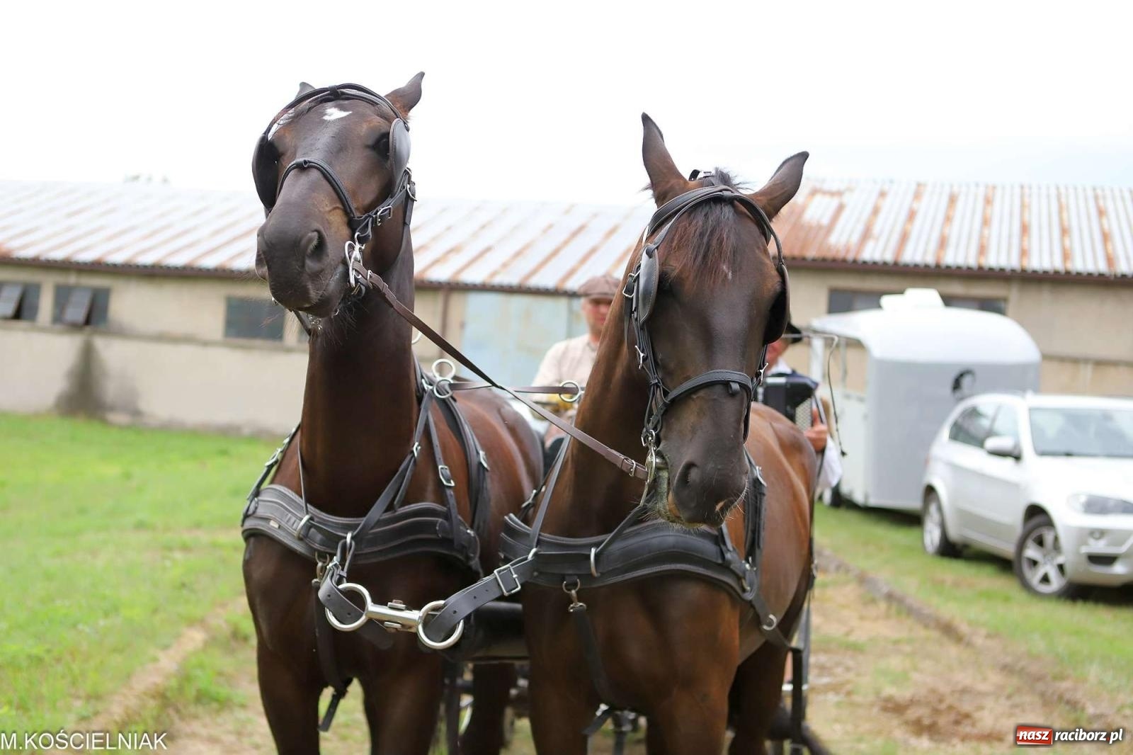 Zdjęcie w galerii na portalu naszraciborz.pl: Co za emocje w Krowiarkach. Ciapek Racing 3 na bis! wiadomości z regionu