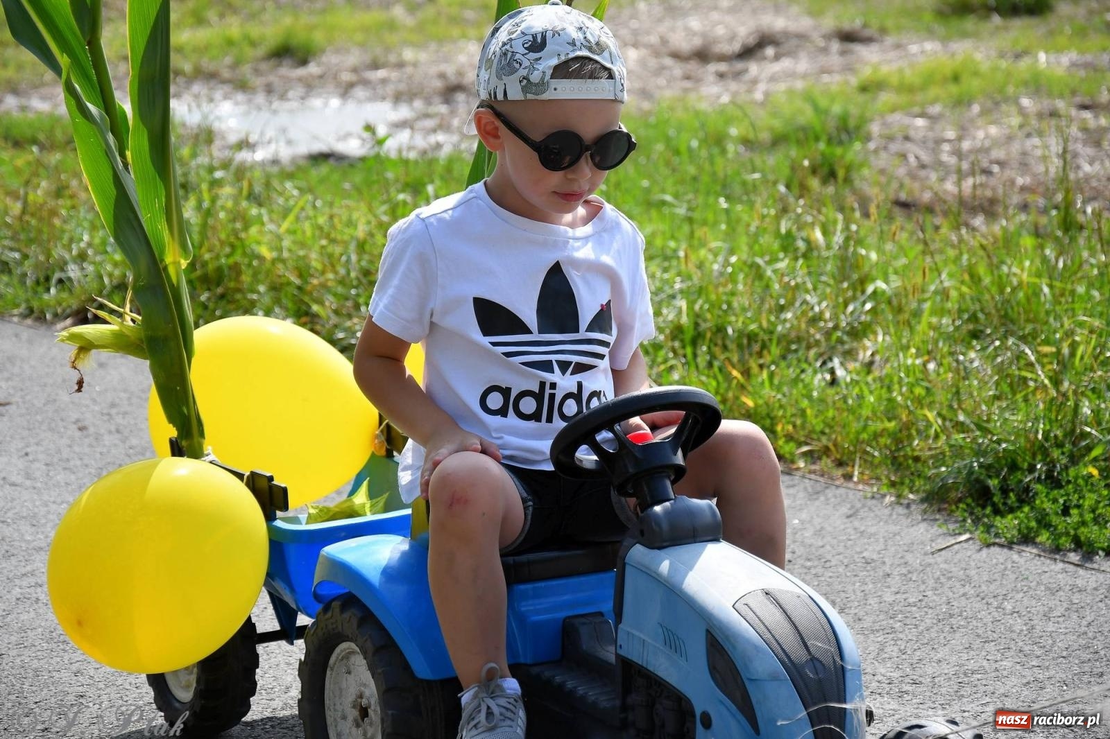 Zdjęcie w galerii na portalu naszraciborz.pl: W Wojnowicach na dożynkach jak w Hollywood [FOTO i WIDEO] wiadomości z regionu