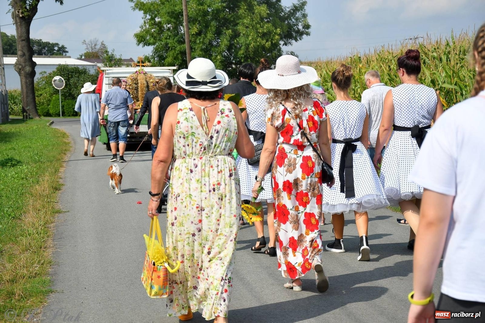 Zdjęcie w galerii na portalu naszraciborz.pl: W Wojnowicach na dożynkach jak w Hollywood [FOTO i WIDEO] wiadomości z regionu