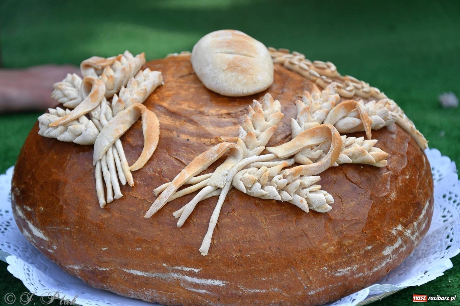 Zdjęcie w galerii na portalu naszraciborz.pl: W Wojnowicach na dożynkach jak w Hollywood [FOTO i WIDEO] wiadomości z regionu