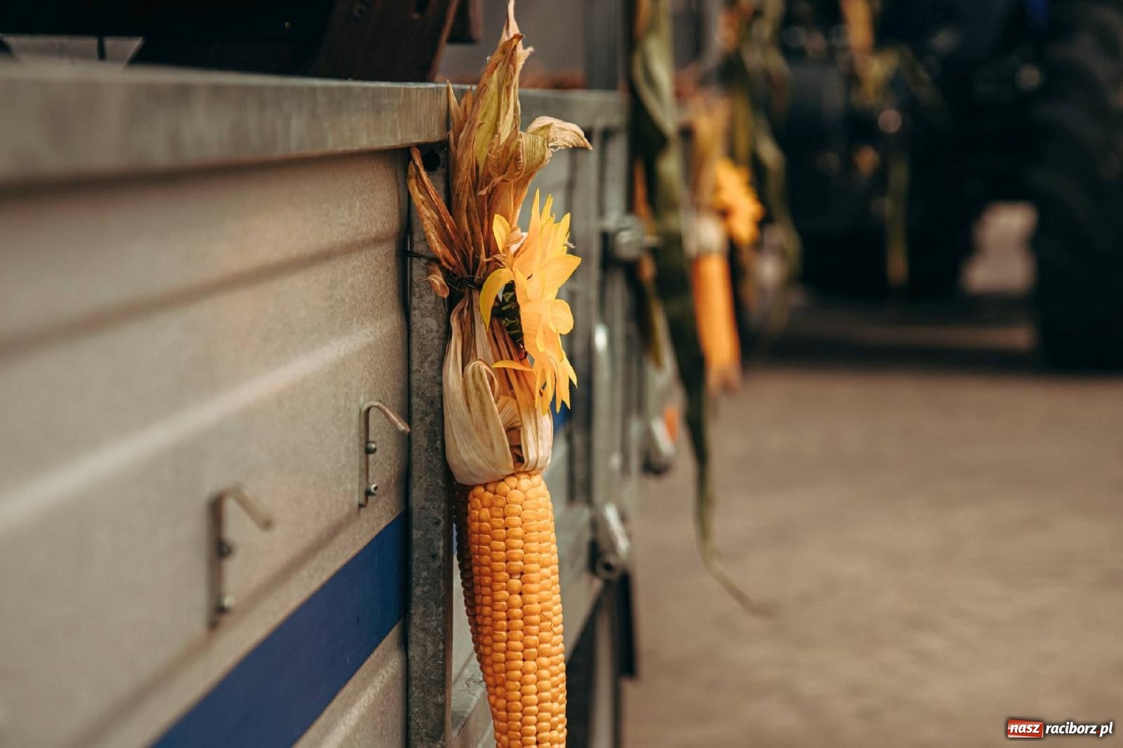 Zdjęcie w galerii na portalu naszraciborz.pl: Święto plonów w parafii Modzurów [FOTO i WIDEO] wiadomości z regionu