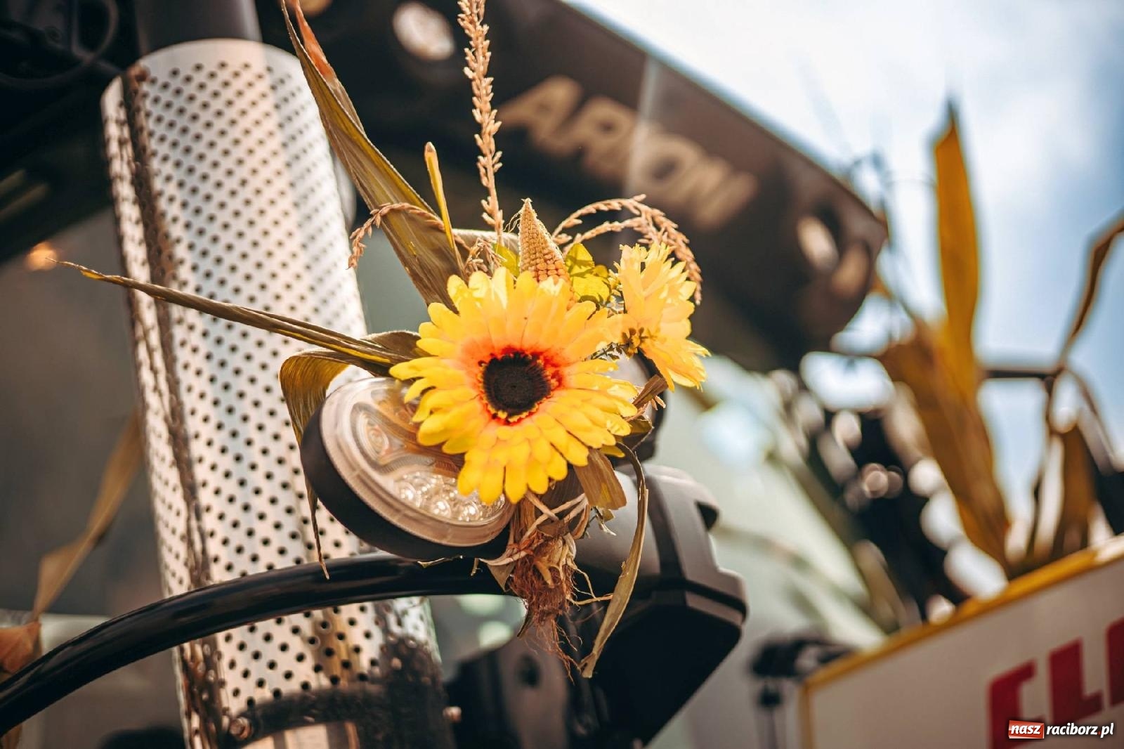 Zdjęcie w galerii na portalu naszraciborz.pl: Święto plonów w parafii Modzurów [FOTO i WIDEO] wiadomości z regionu