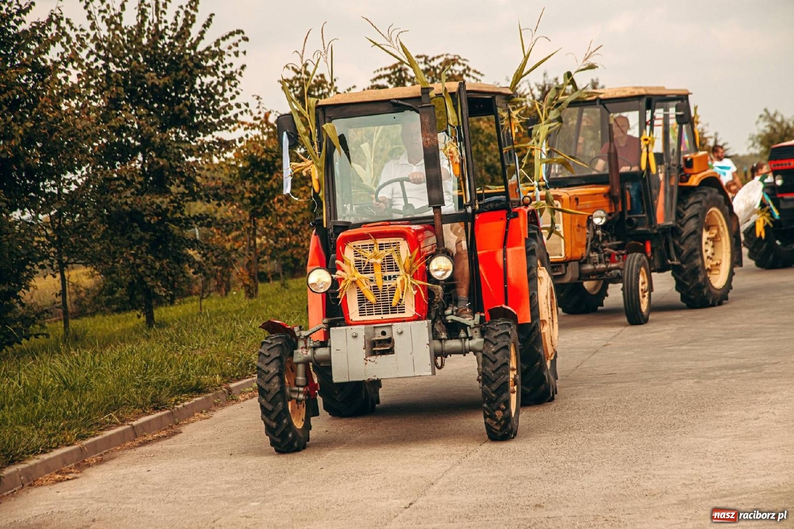 Zdjęcie w galerii na portalu naszraciborz.pl: Święto plonów w parafii Modzurów [FOTO i WIDEO] wiadomości z regionu