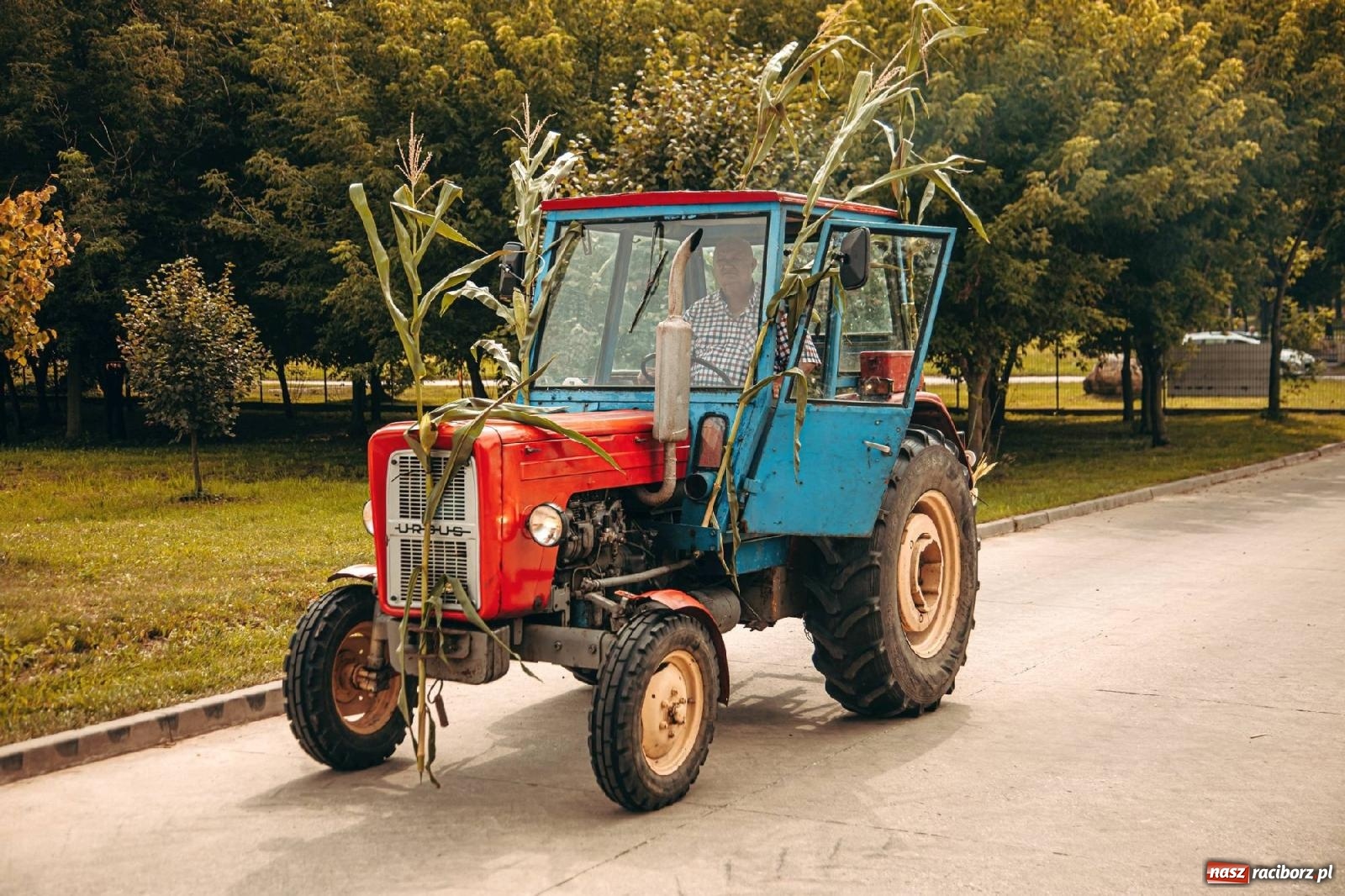 Zdjęcie w galerii na portalu naszraciborz.pl: Święto plonów w parafii Modzurów [FOTO i WIDEO] wiadomości z regionu