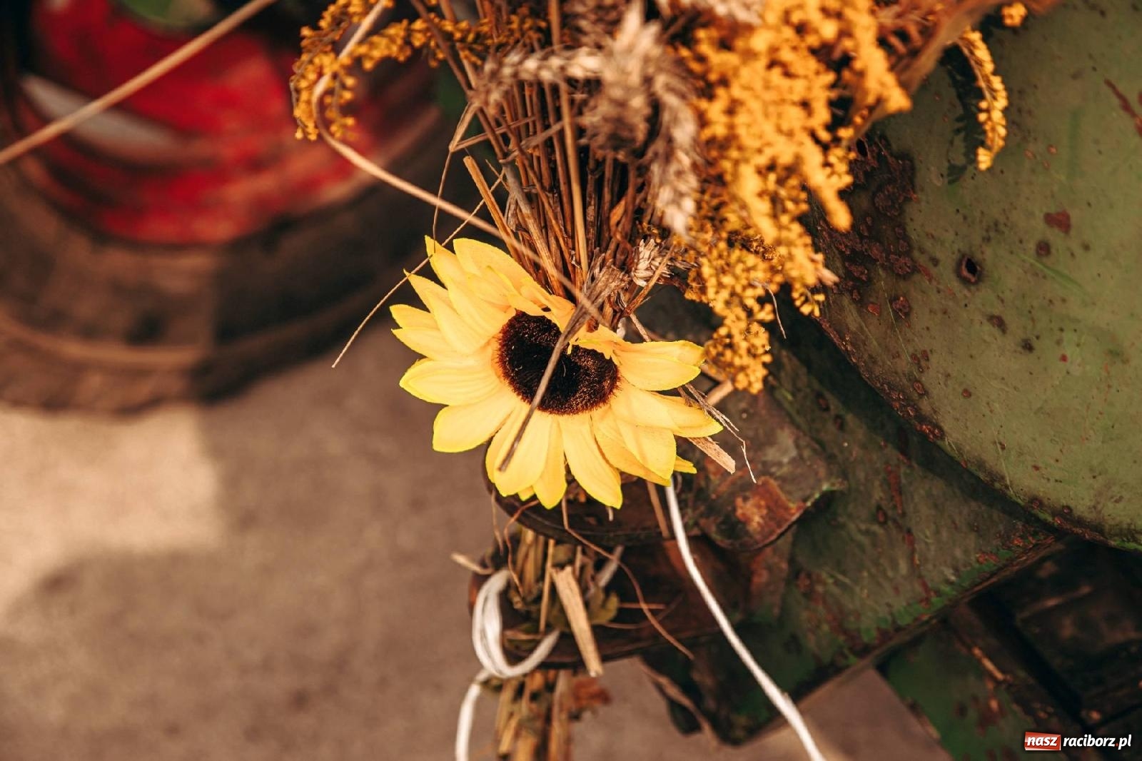 Zdjęcie w galerii na portalu naszraciborz.pl: Święto plonów w parafii Modzurów [FOTO i WIDEO] wiadomości z regionu