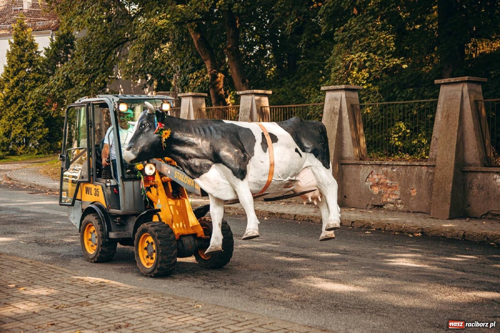 Zdjęcie w galerii na portalu naszraciborz.pl: Z Krowiarek do Amandowa. Dożynki 2023 [FOTO i WIDEO] wiadomości z regionu