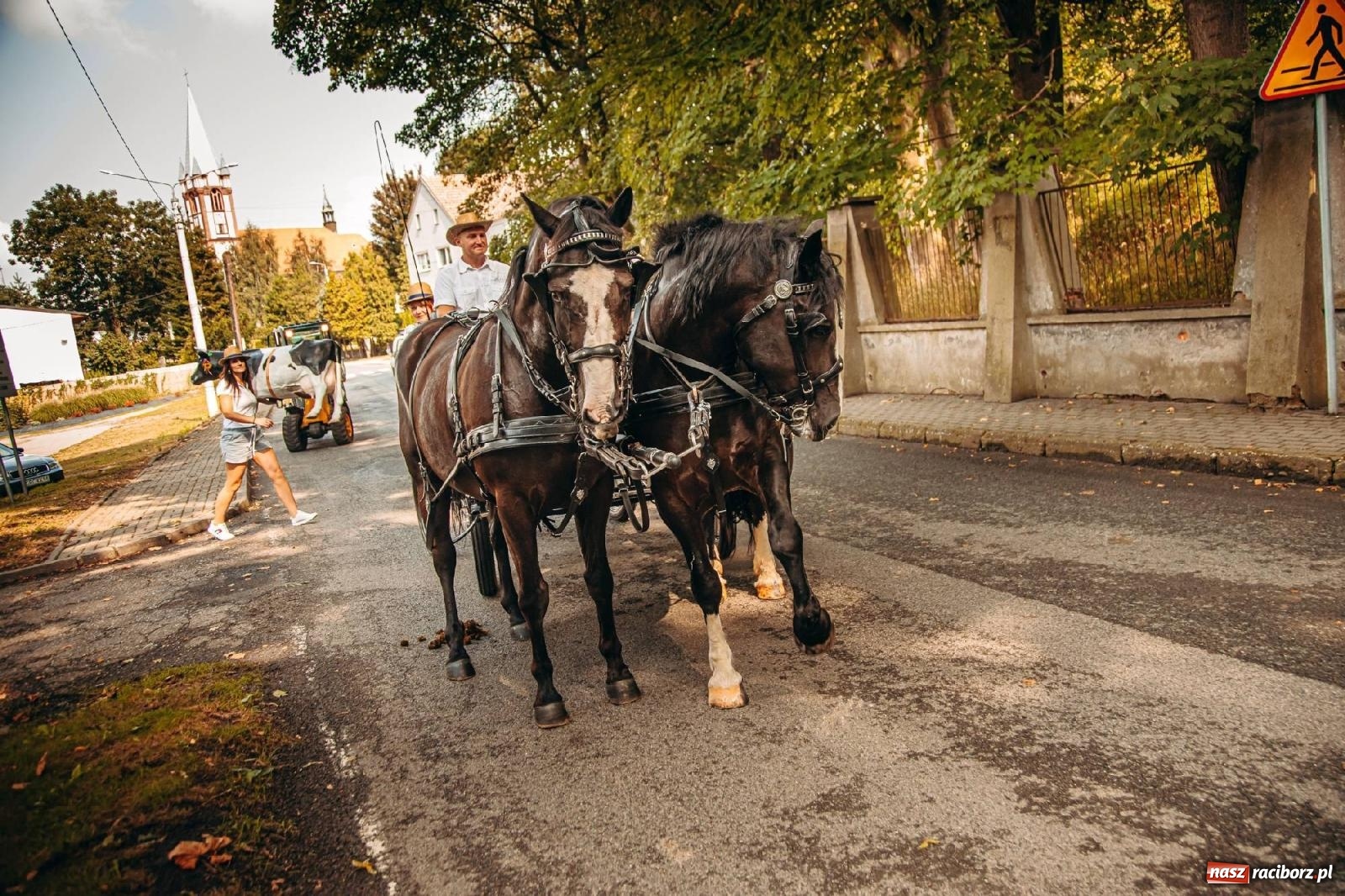 Zdjęcie w galerii na portalu naszraciborz.pl: Z Krowiarek do Amandowa. Dożynki 2023 [FOTO i WIDEO] wiadomości z regionu