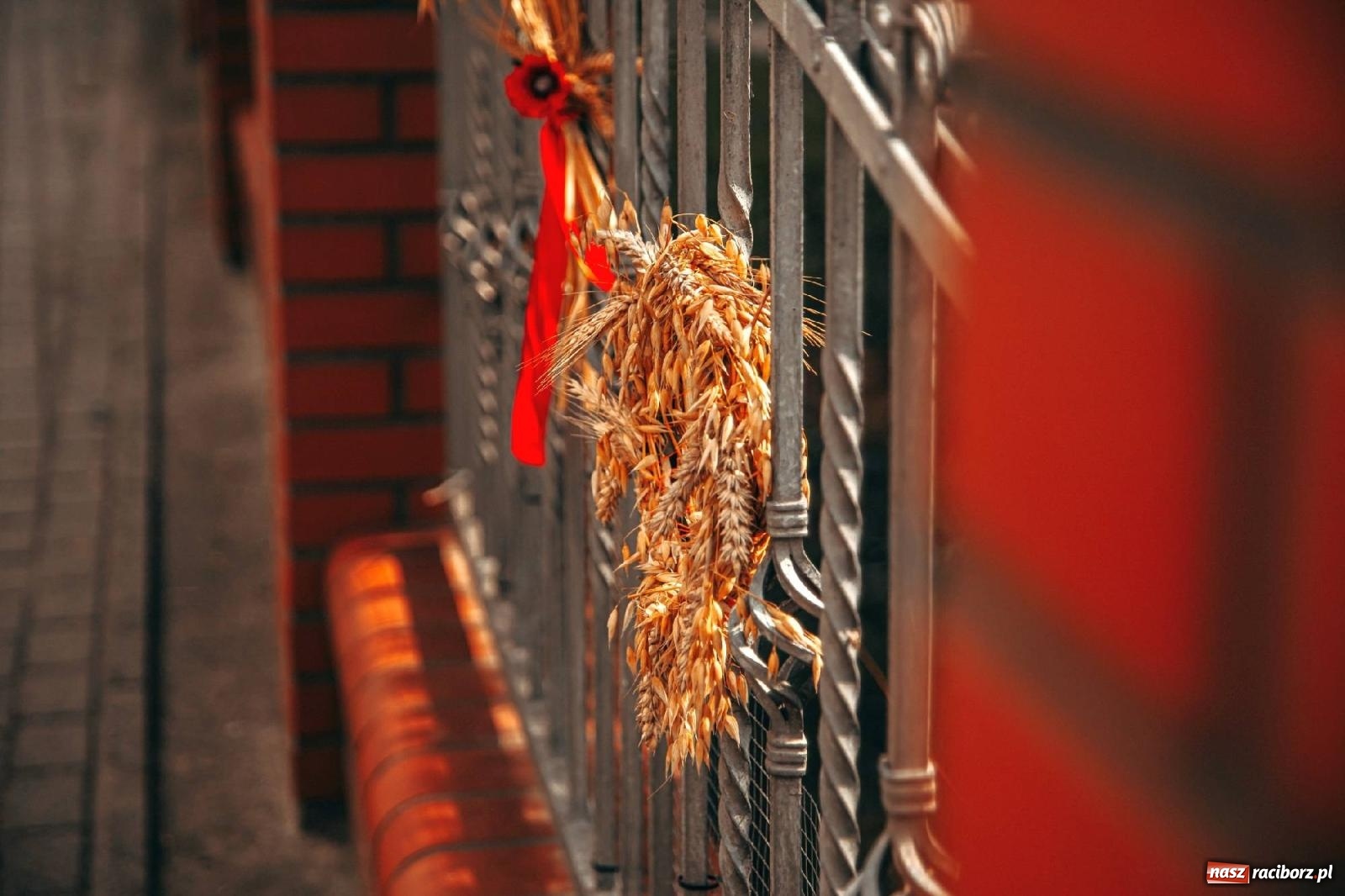 Zdjęcie w galerii na portalu naszraciborz.pl: Z Krowiarek do Amandowa. Dożynki 2023 [FOTO i WIDEO] wiadomości z regionu