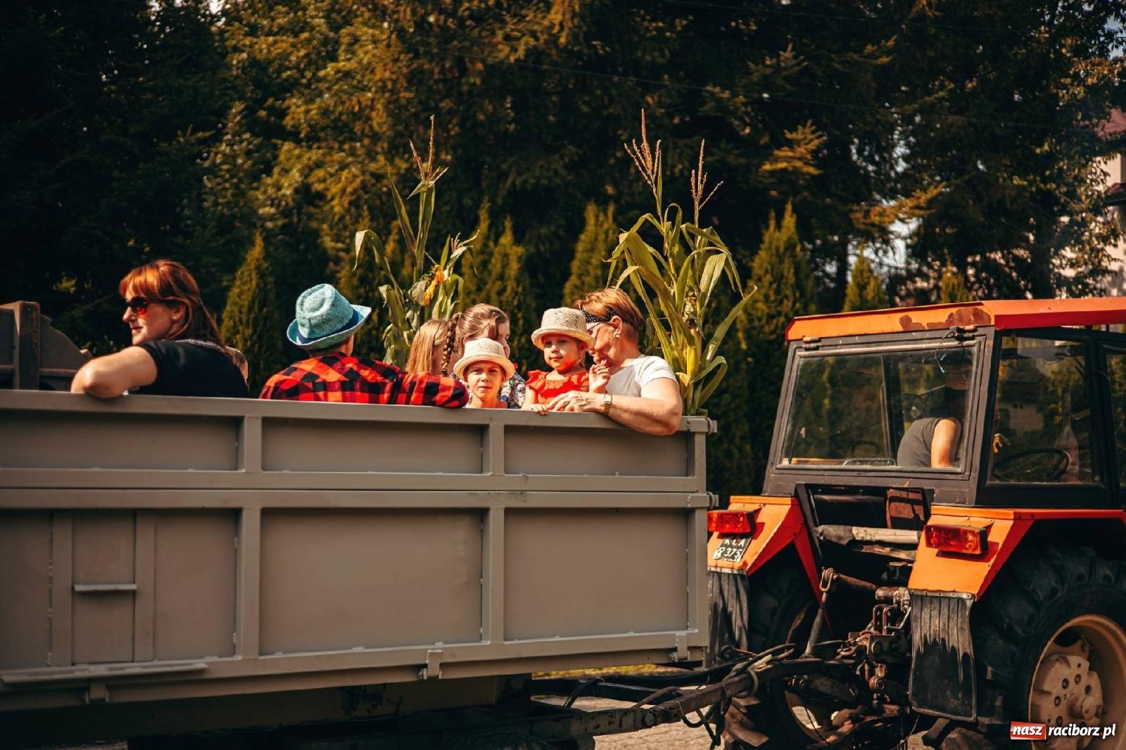 Zdjęcie w galerii na portalu naszraciborz.pl: Z Krowiarek do Amandowa. Dożynki 2023 [FOTO i WIDEO] wiadomości z regionu