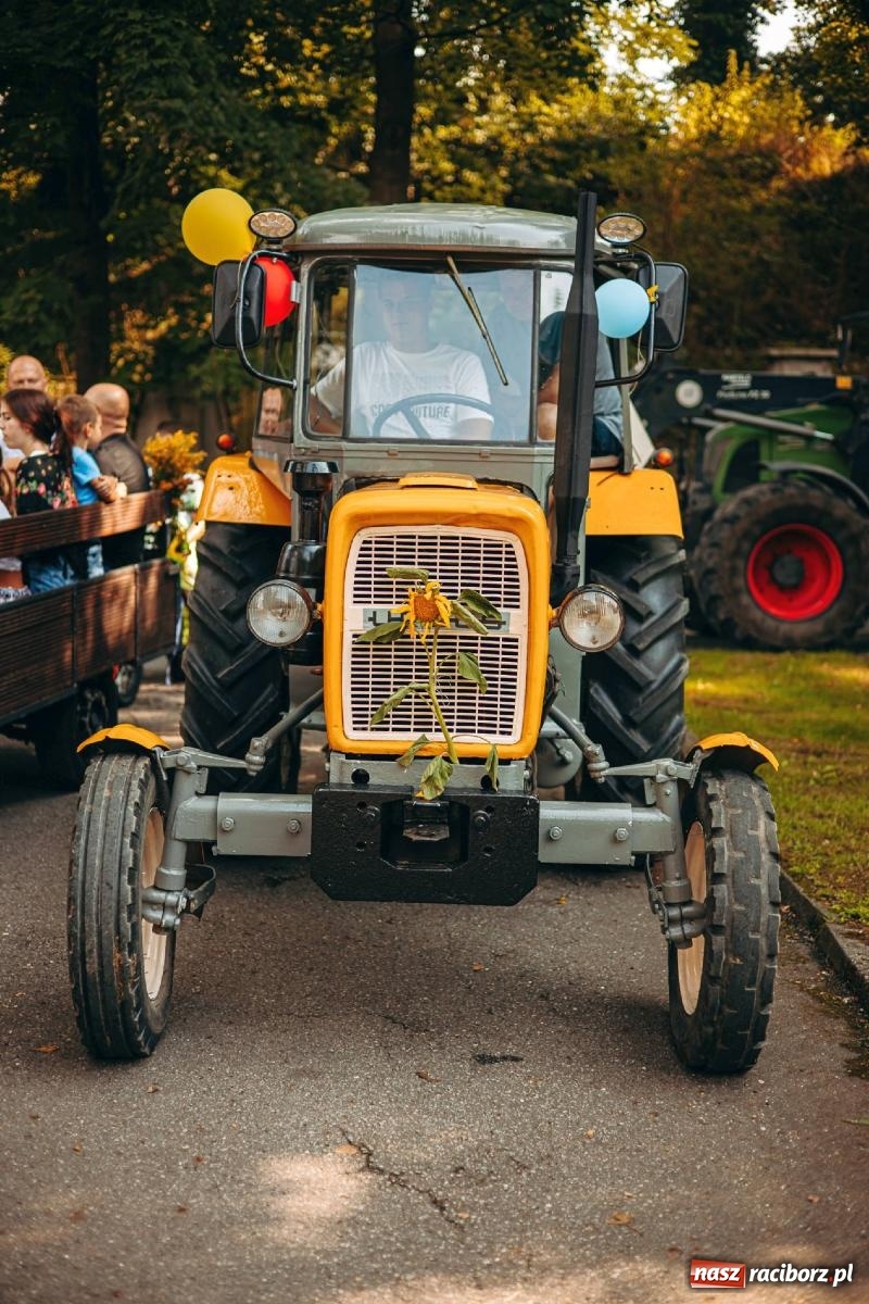 Zdjęcie w galerii na portalu naszraciborz.pl: Z Krowiarek do Amandowa. Dożynki 2023 [FOTO i WIDEO] wiadomości z regionu