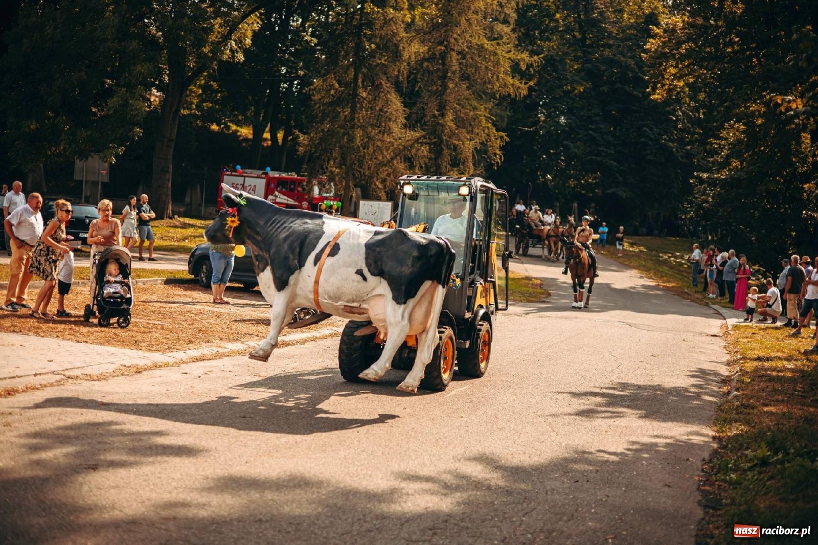 Zdjęcie w galerii na portalu naszraciborz.pl: Z Krowiarek do Amandowa. Dożynki 2023 [FOTO i WIDEO] wiadomości z regionu